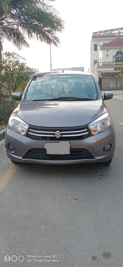 cultus 2019 seal to seal  original