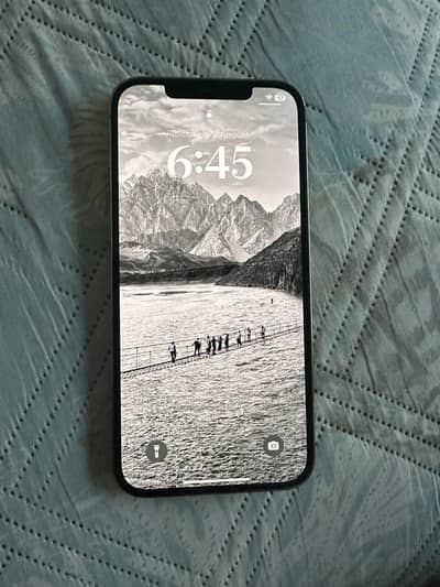 iPhone 12 pro max factory unlock