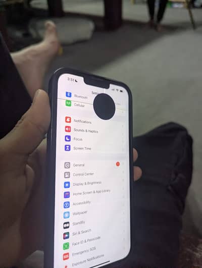 IPHONE 13 pro max panel