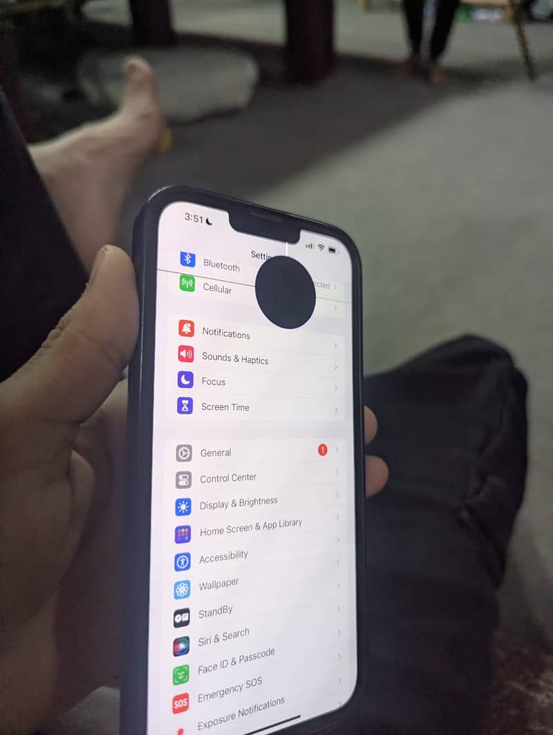 IPHONE 13 pro max panel 0