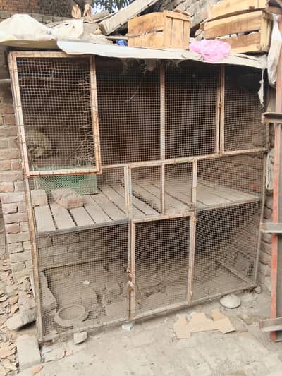 cage for sale
