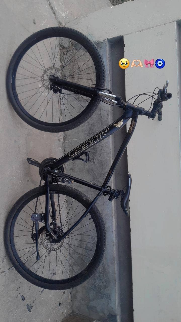 migeer imported cycle 0