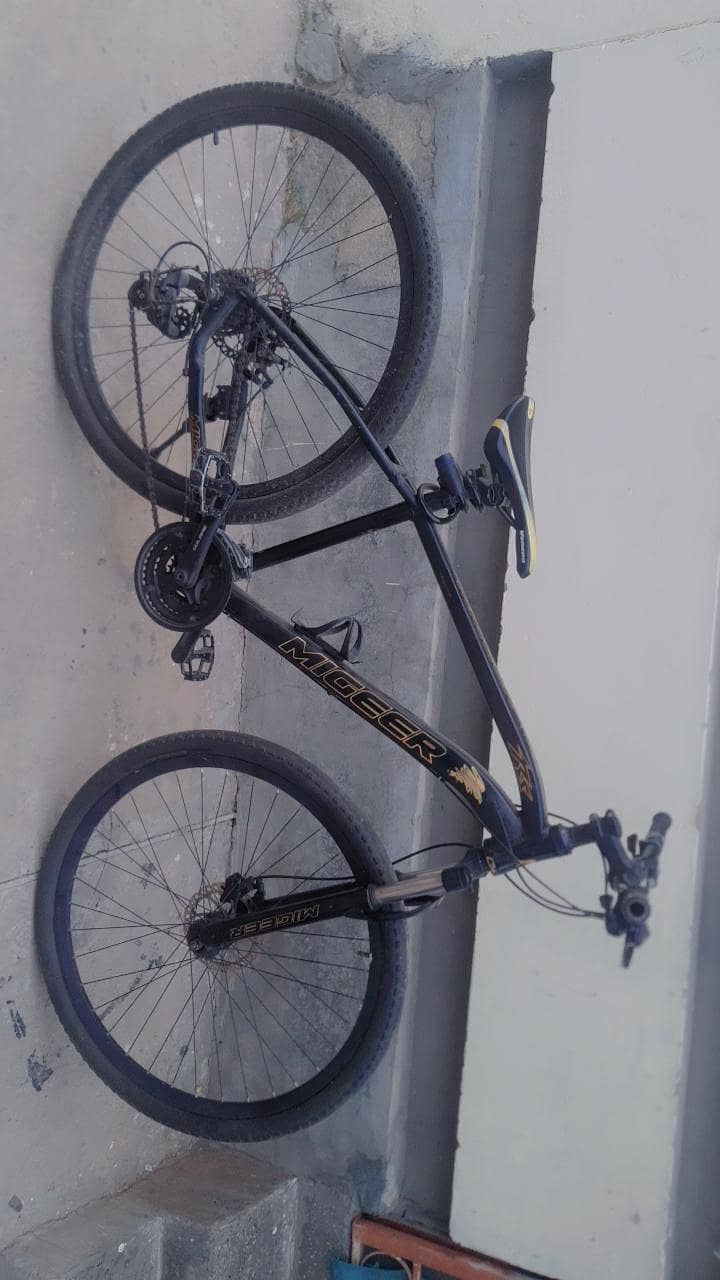 migeer imported cycle 1