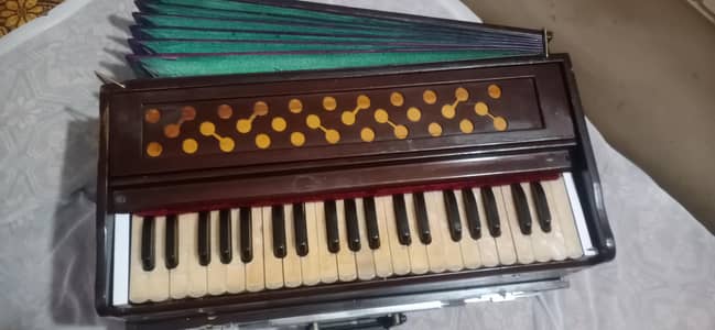 Indian folding harmonium