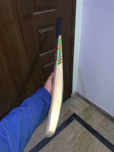 Hard ball bat