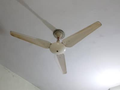ceiling fan for sale