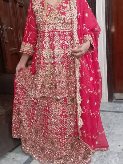 bridal lehnga used in one time