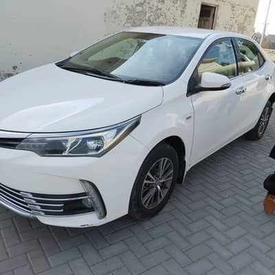 GLI 2019  super white