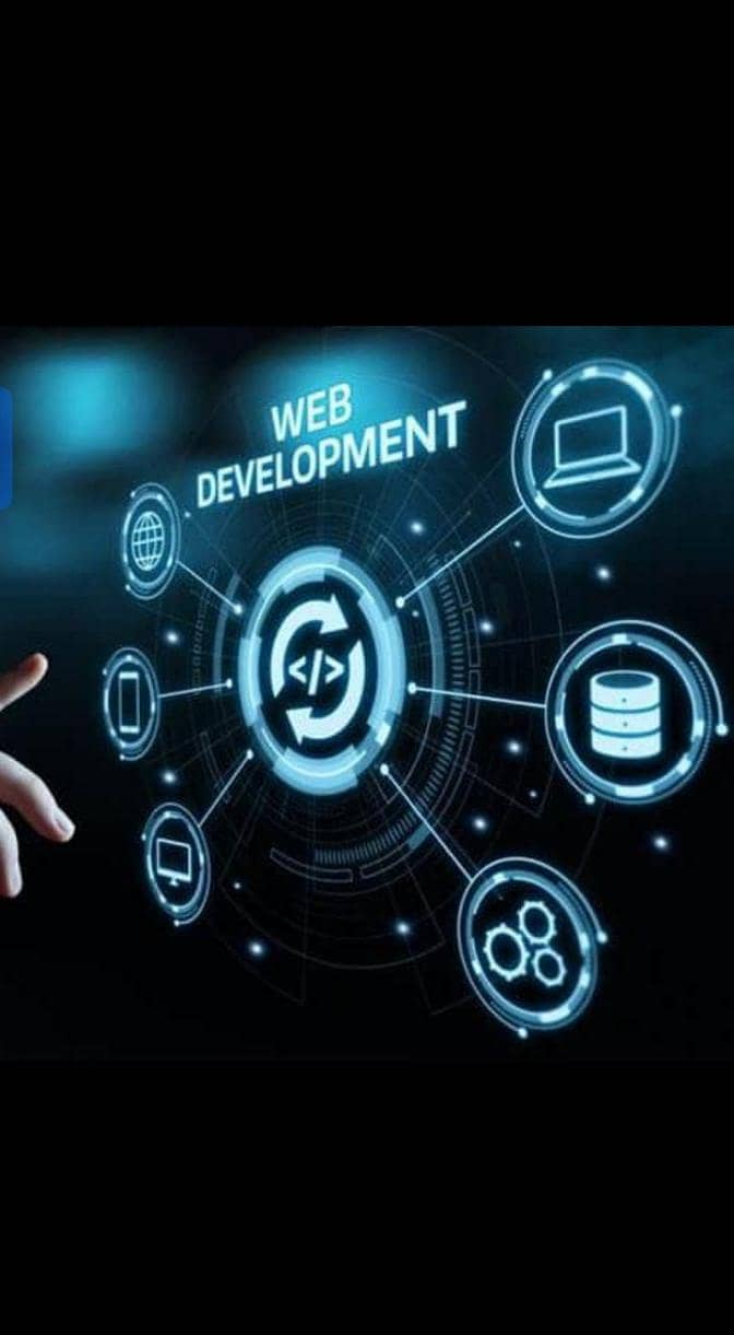 Web developer 0