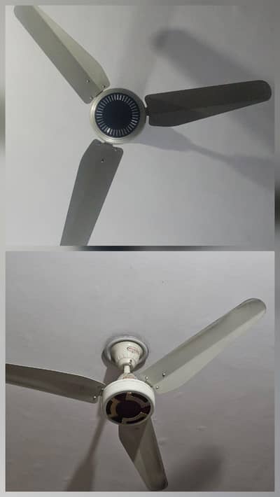 Two ceiling fan for sale