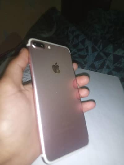 contact only serious 7+ 10/10