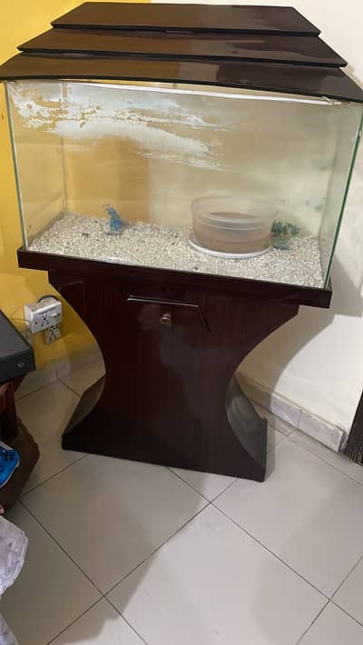 Fish Aquarium
