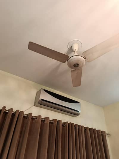 Used ceiling fans