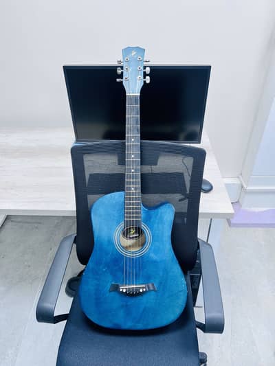 Swift Horse  Guitar - Best Guitar For beginner to Pro level