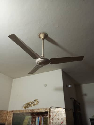 Ceiling fan for sale