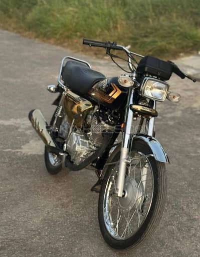 2025 model gold edition