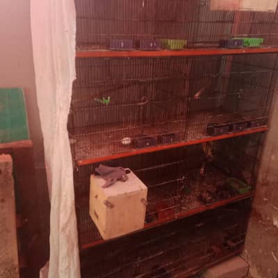 8 portion foldable cage front  box option cage for sell