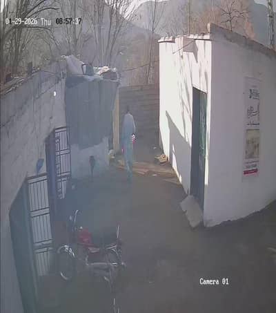 cook required in side