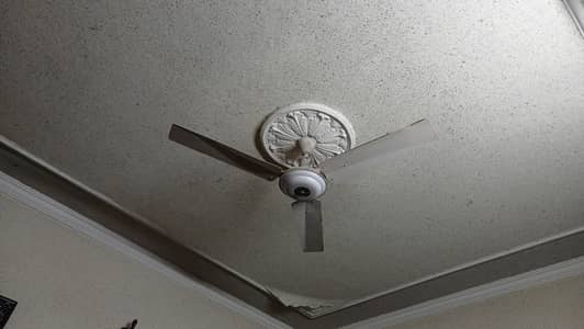 7 wahid fan for sale