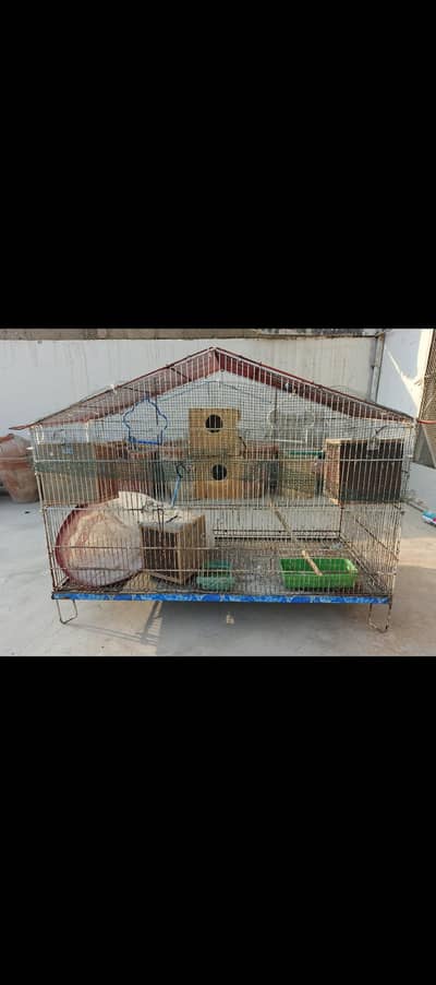 cages and birds