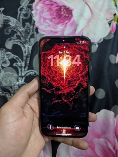iPhone 13 Pro with Original Charger - Non PTA -256GB