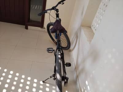 Trioblade cycle 10 by 10 new brakes and tyre