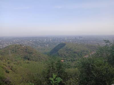 Car for sale Honda City 2007