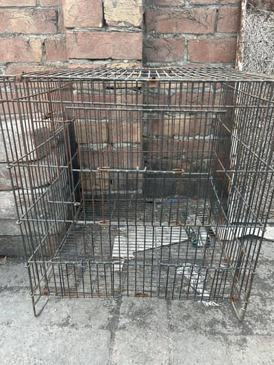 Cage and box for sale