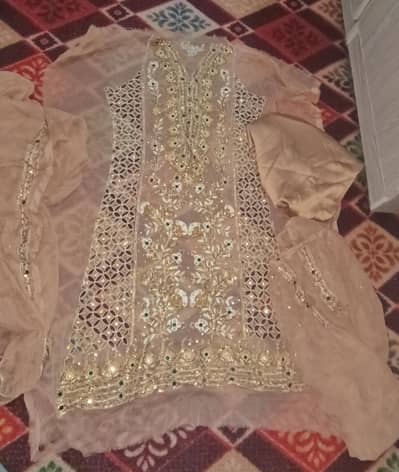 Elegant Gold/Skin Party Wear (New)