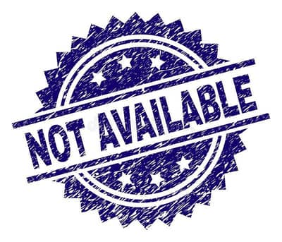 5 months, male persian kitten