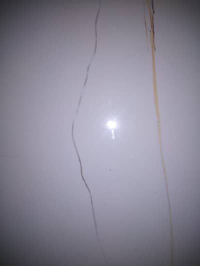 heera pair and one black  or white female