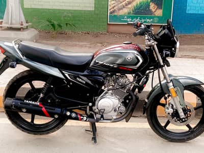 Yamaha Ybz125 Dx for Sale_Excellent Condition