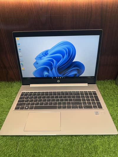 Hp Pro Book 450 G7 (i5 10th Gen) (8/256)