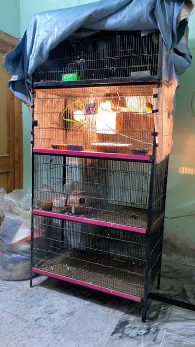 Heavy Iron Cage 8 portion