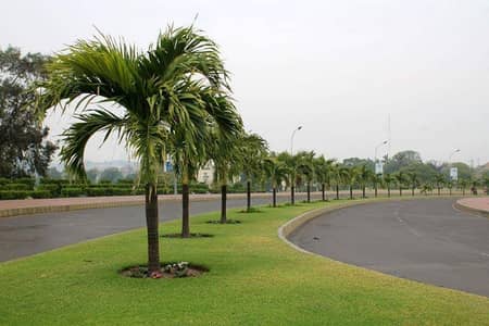 120 Yards Plot In Block C