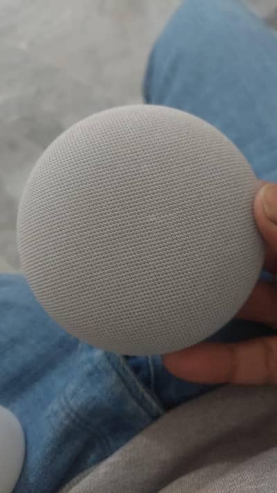 Google mini nest 2nd generation