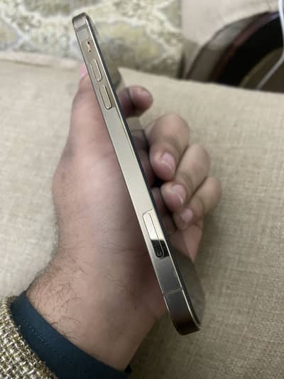 Iphone 12 Pro (Non-Pta)