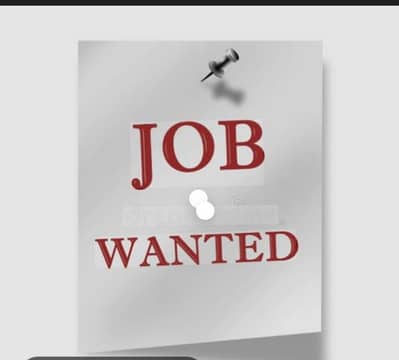 Office Boy Job Needed