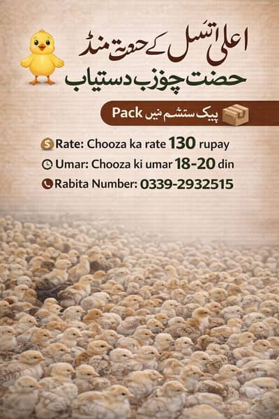 Day old/Brolier/golden chick's/ eggs laying hens |/pathy pathiya