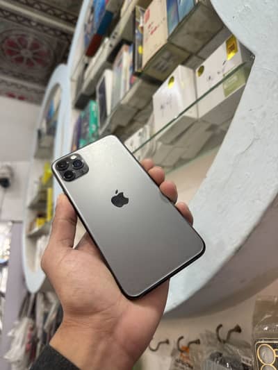 11 pro max non pta fu waterpack