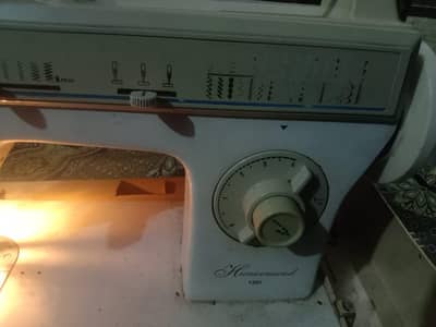 Singer Sewing Machine 1301