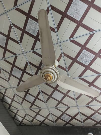 1 year chala howa he