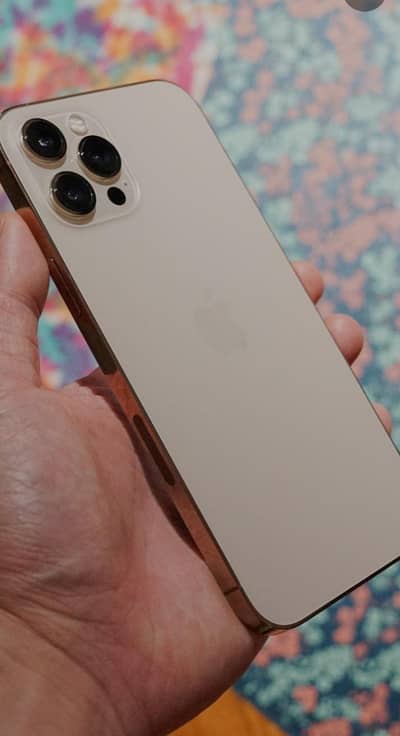 iphone 12 pro max pta approved