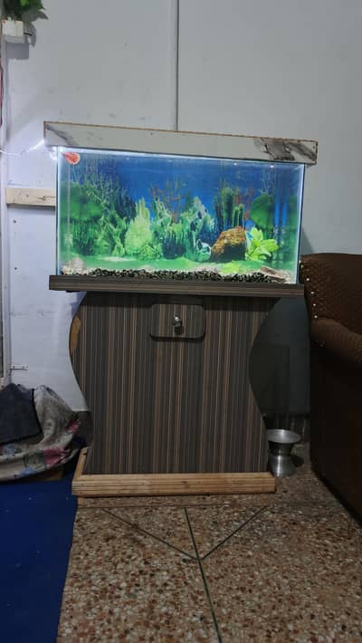 aquarium 12*30