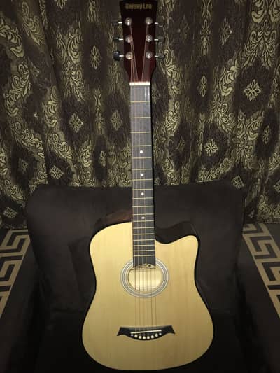 BRAND NEW ACCUSTIC GUITAR