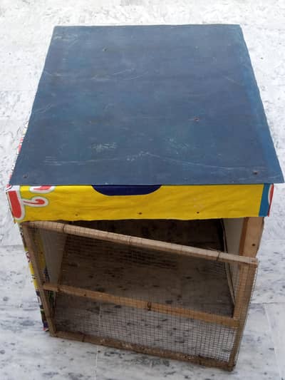 Pigeons Cage
