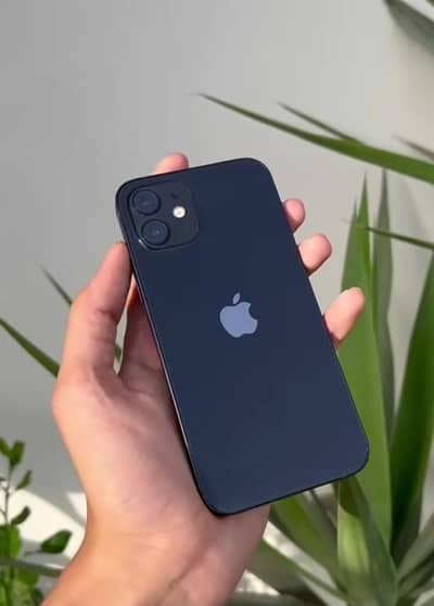 iphone 12 jv battery 84  condition 10by10 no open no repair waterpak