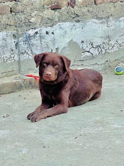 viralvideo #foryoupage #unfreezemyacount #viewsproblem