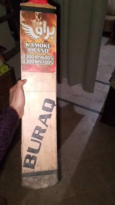 Coconut bat Buraq used