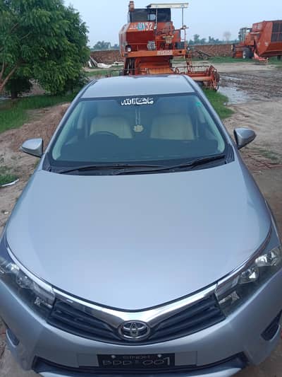 Gli 2015 (Brand New)